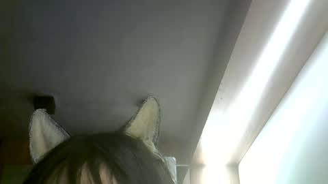 Snapshot of skinnykittencam chatting on 07-05-26, 06:31 skinnykittencam online show from 07-05-26, 06:31