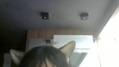 Snapshot of skinnykittencam chatting on 07-07-26, 06:47 skinnykittencam online show from 07-07-26, 06:47