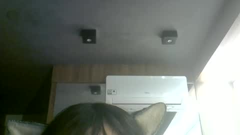 Snapshot of skinnykittencam chatting on 07-07-26, 07:34 skinnykittencam online show from 07-07-26, 07:34