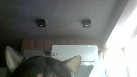 Snapshot of skinnykittencam chatting on 07-08-26, 09:03 skinnykittencam online show from 07-08-26, 09:03
