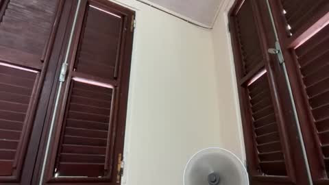 Snapshot of skinnymetiss chatting on 09-20-25, 06:31 skinnymetiss online show from 09-20-25, 06:31