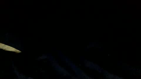 Snapshot of skinnypole6 chatting on 12-04-24, 06:06 skinnypole6 online show from 12-04-24, 06:06