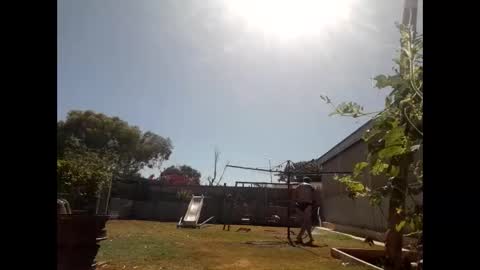 skip1975 online show from 12-29-24, 07:28