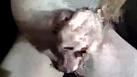 Z online show from 12-02-25, 08:48