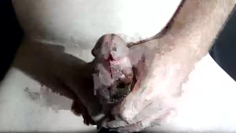 Z online show from 02-04-26, 08:47