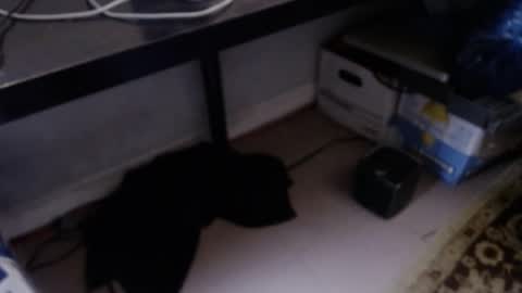 sliderguy699 online show from 04-09-26, 10:48