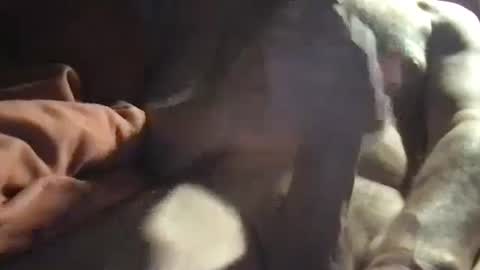 Snapshot of slienthear83 chatting on 01-14-25, 06:34 slienthear83 online show from 01-14-25, 06:34