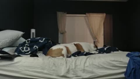 slimjp online show from 02-07-26, 02:26