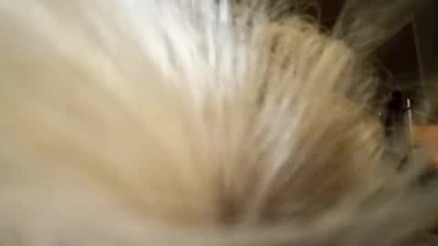Snapshot of slutrider69 chatting on 04-04-26, 11:51 Fun time online show from 04-04-26, 11:51