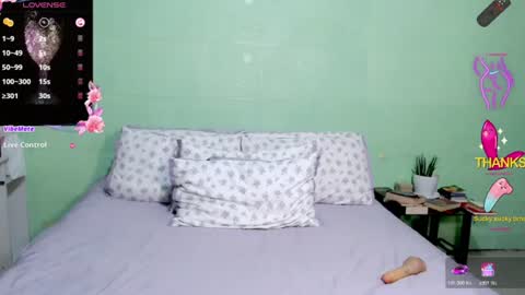 Snapshot of slutty_asian chatting on 06-29-26, 06:19 slutty asian-- online show from 06-29-26, 06:19