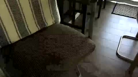 Peter Johnson online show from 06-22-26, 08:39