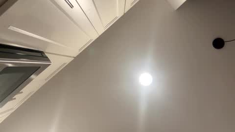 Snapshot of smokeymt420 chatting on 10-11-25, 03:28 smokeymt420 online show from 10-11-25, 03:28