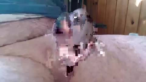 Snapshot of sn0man69 chatting on 01-06-25, 02:47 sn0man69 online show from 01-06-25, 02:47