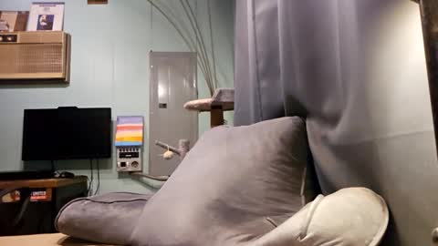 Snapshot of snackyyyy chatting on 02-06-26, 01:10 Snackyyyy online show from 02-06-26, 01:10