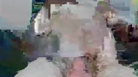 Snapshot of snakeyboy69 chatting on 11-26-25, 10:05 snakey boy online show from 11-26-25, 10:05