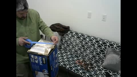 Snapshot of snizniz chatting on 02-11-25, 06:30 snizniz online show from 02-11-25, 06:30