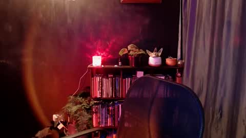 Snapshot of snow_flowers chatting on 01-10-26, 11:09 Arwen online show from 01-10-26, 11:09