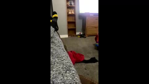 snowball5499 online show from 04-03-26, 03:26