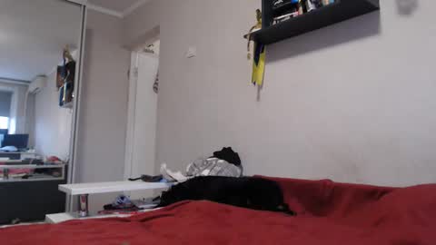 Sofi online show from 11-11-25, 12:27