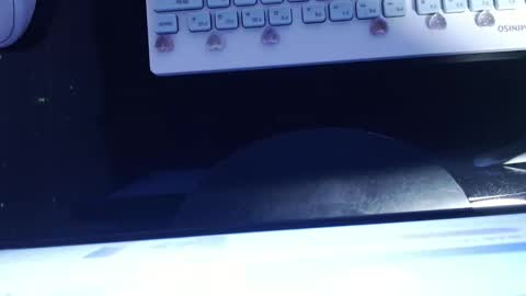 Snapshot of sofianix chatting on 01-13-25, 06:06 SOFIA NIX online show from 01-13-25, 06:06