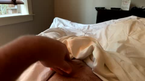 Snapshot of softslickandsweet chatting on 02-24-25, 04:36 softslickandsweet online show from 02-24-25, 04:36