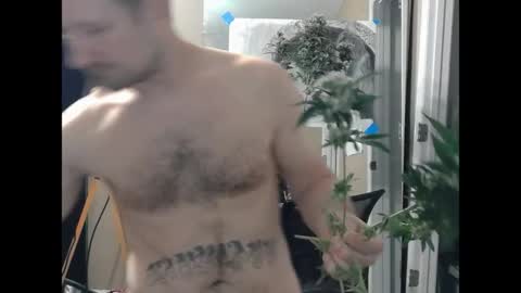 somethingaboutabiee__ online show from 04-18-26, 12:25