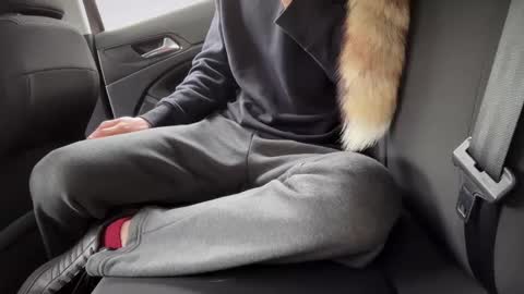 Sondages online show from 02-23-25, 08:49