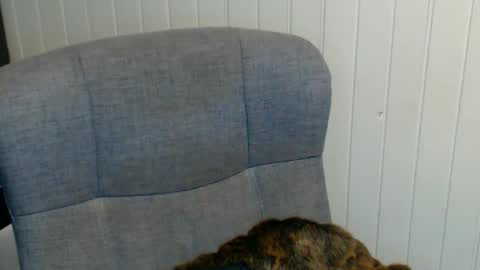 sonjairene online show from 01-08-25, 03:51