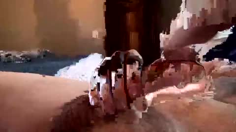 sooosolid online show from 01-31-25, 08:43