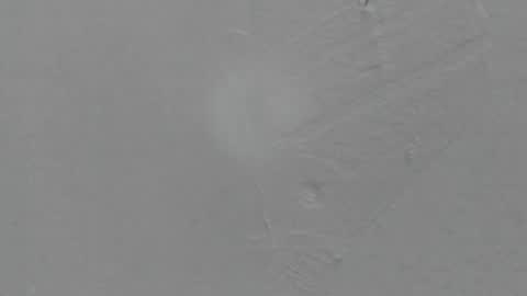 sophia_ebony___ online show from 02-08-26, 01:14