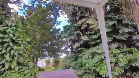 sophiaguzman_ online show from 01-16-26, 03:38