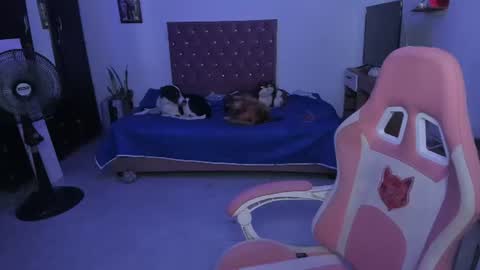 sophie doll online show from 06-25-26, 02:33