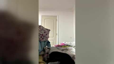 Southernblueyes online show from 04-05-26, 11:13