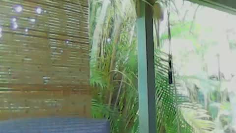 Snapshot of soveryhandsome chatting on 01-04-25, 05:58 soveryhandsome online show from 01-04-25, 05:58