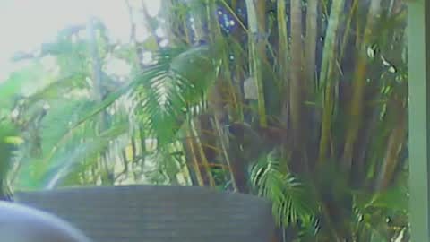 soveryhandsome online show from 04-12-26, 06:40