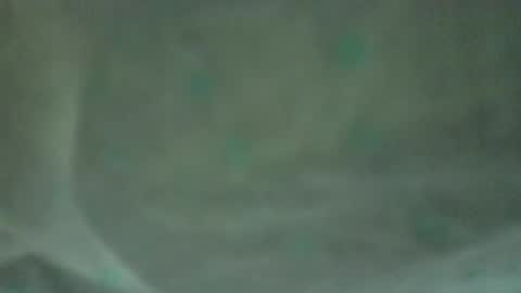 soycule2005 online show from 04-10-26, 10:36