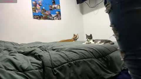 spartan_knight16 online show from 09-13-25, 09:47