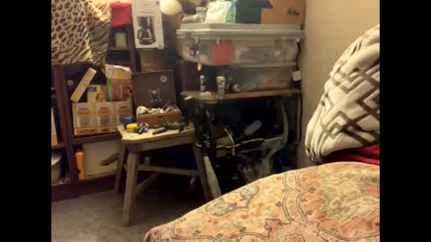 Snapshot of spermdoner23 chatting on 11-10-25, 01:32 spermdoner23 online show from 11-10-25, 01:32