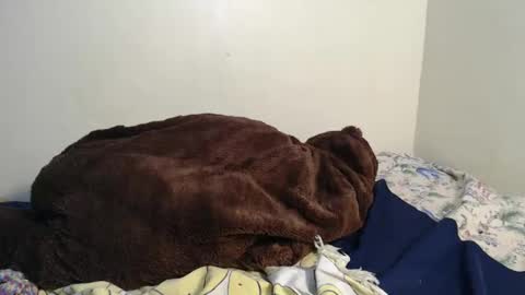 Snapshot of spice_queen chatting on 02-02-25, 03:43 dela online show from 02-02-25, 03:43