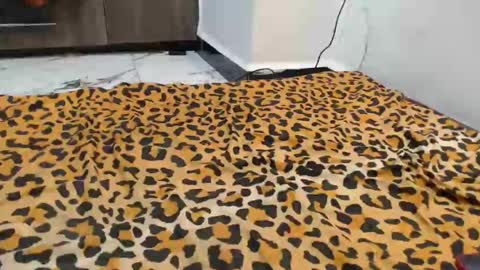 Snapshot of spice_queen chatting on 09-13-25, 12:43 dela online show from 09-13-25, 12:43