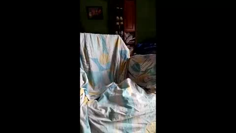 spieguelman online show from 04-17-26, 11:24