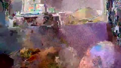 srekos38 online show from 04-20-26, 05:43