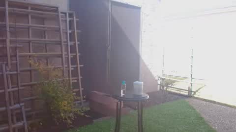 srtxshow online show from 02-07-26, 06:00