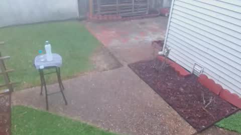 srtxshow online show from 03-08-26, 10:13