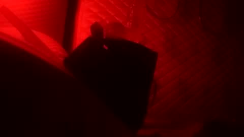 Dick online show from 10-22-25, 08:36