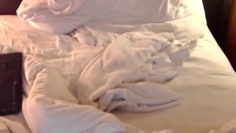 st8llion online show from 01-11-25, 02:41