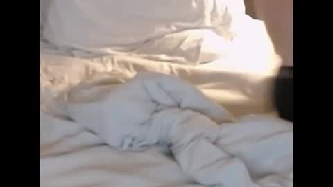 st8llion online show from 02-27-25, 01:38