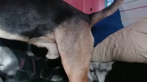 Snapshot of stacisavige chatting on 04-02-26, 09:23 Sinserity online show from 04-02-26, 09:23