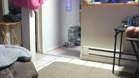 Submissive Slut LOVES adoration online show from 10-23-25, 04:23