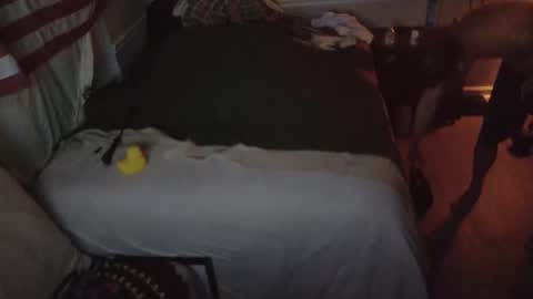 Snapshot of staloney21 chatting on 02-15-26, 09:52 staloney online show from 02-15-26, 09:52